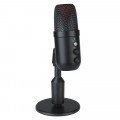 Microphone Thu Âm Hylang MU1000 48KHZ Đen | EZPC