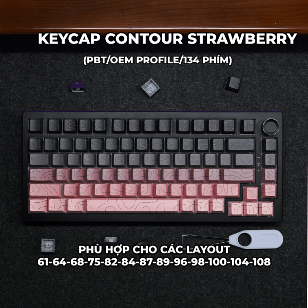 Keycap Cho Bàn Phím Cơ  CONTOUR GRADIENT TRAWBERRY  PBT OEM Profile 134 Phím|EZPC